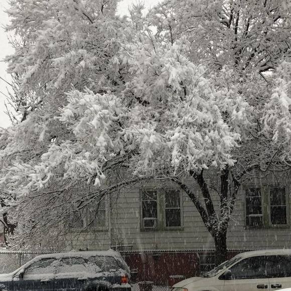 Meet your Posher, Siloe celeste - Picture 1 of 1